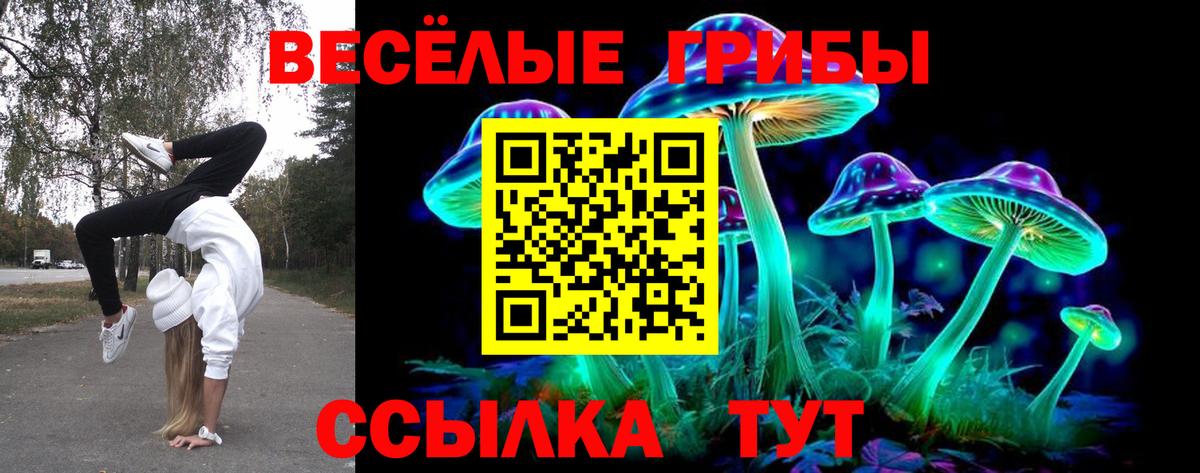 Галлюциногенные грибы мухоморы  Вход с VPN  Искитим 